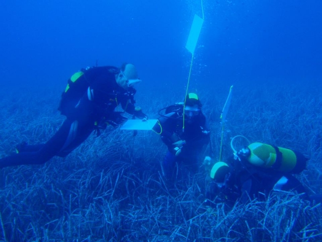  Underwater gymkhana 